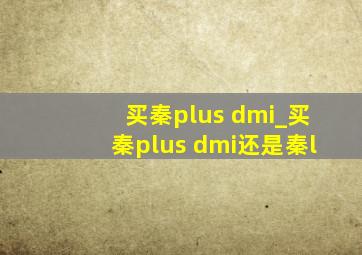 买秦plus dmi_买秦plus dmi还是秦l